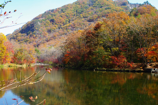 蒲石河风景