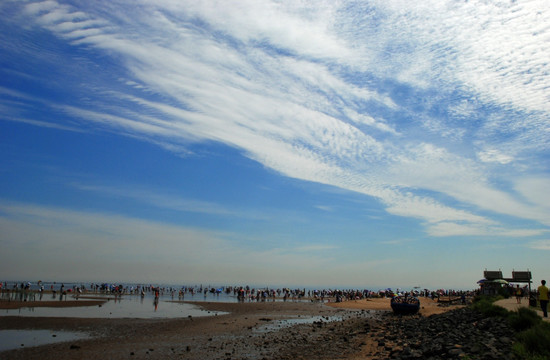 鸽子窝公园 赶海拾贝 天空