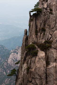 黄山 竖片 竖构图 薄雾