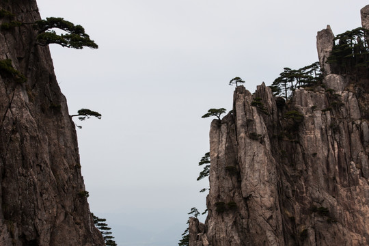 黄山 薄雾 画意 水墨丹青