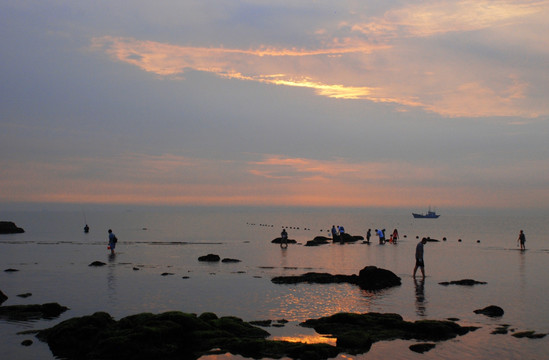 鸽子窝公园 日出 赶海拾贝