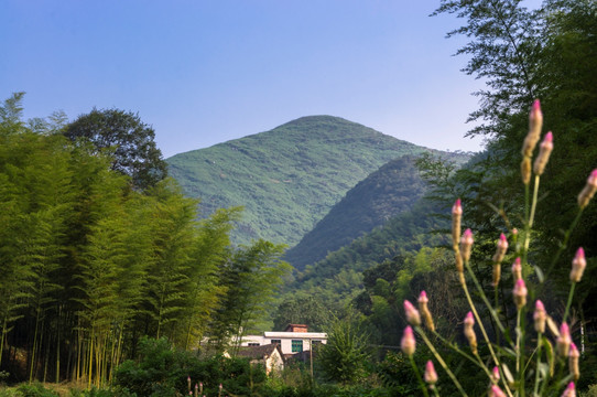 乡村风景