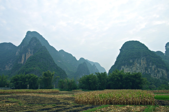 青山