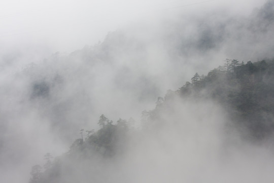 黄山写意 云雾