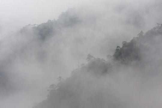 黄山 云雾 水墨画