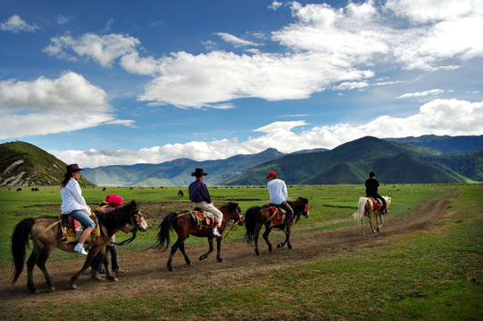 香格里拉骑马旅游