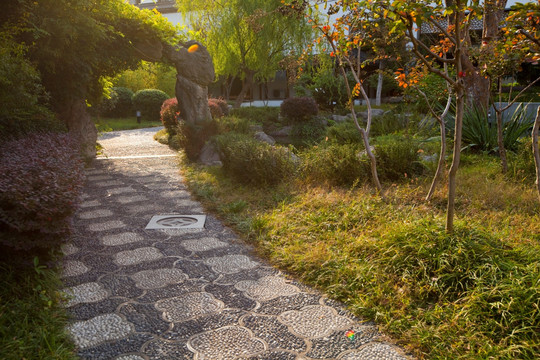 花园 江宁织造博物馆 庭院