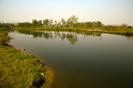 浐灞湿地公园水景观