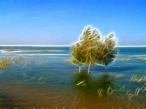 湖景之树 电脑画