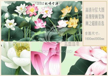 荷花 滿(mǎn)堂喝彩