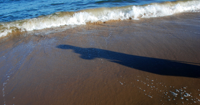 北戴河 沙滩 海水 海边 影子