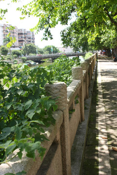 河边风景