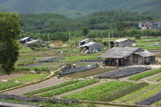 农民生活