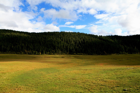 高山牧场