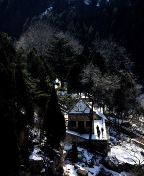 雪山深处觅仙踪