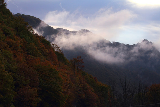 云雾山