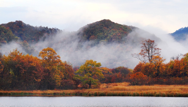 大九湖