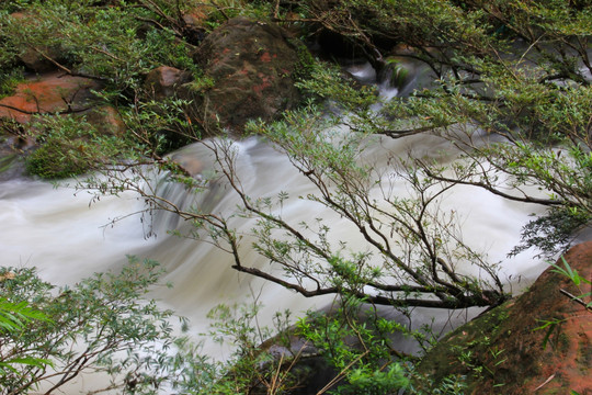 四洞沟珍珠滩水上盆景