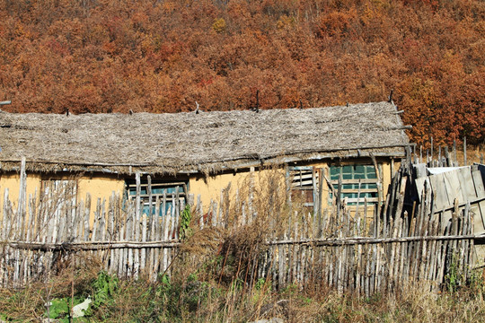 莫力达瓦山村农家