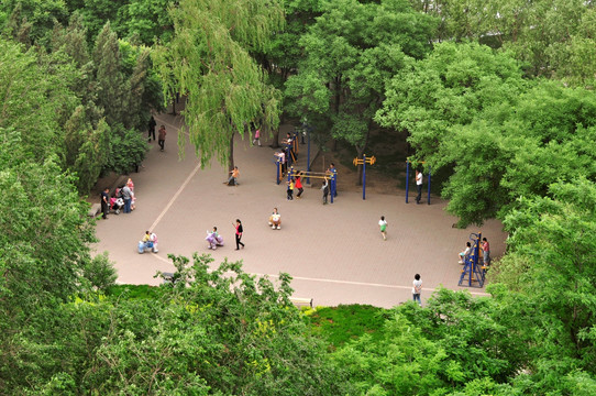 树木环绕人群