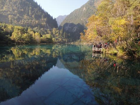 九寨沟箭竹海