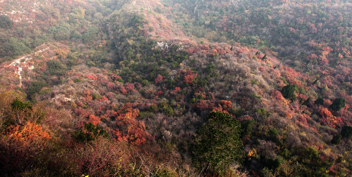 秋色染红太行山