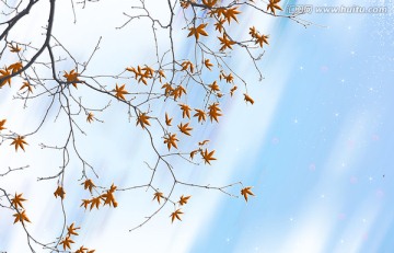 紅葉浮雕 電視背景墻