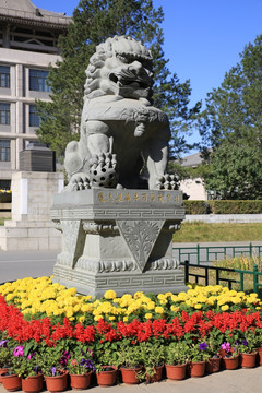 北京大学校园风光之石狮