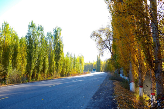 新疆公路