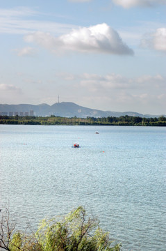 城市湿地公园