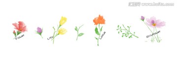 手繪花