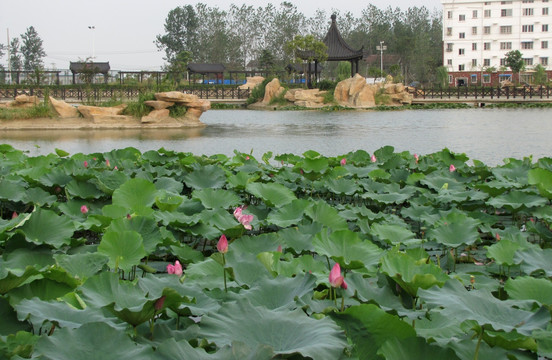 滁州南谯区新农村建设 姑塘新村