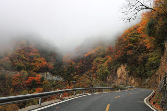 山路漫漫