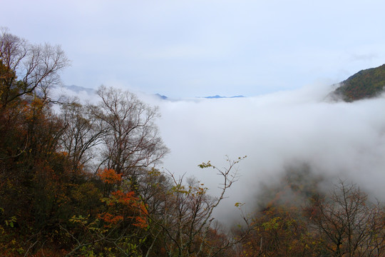 山峰之巅