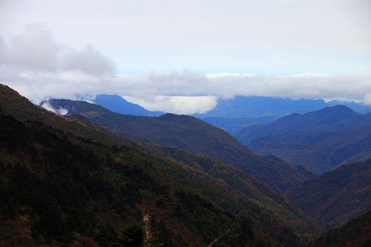 山峰之巅