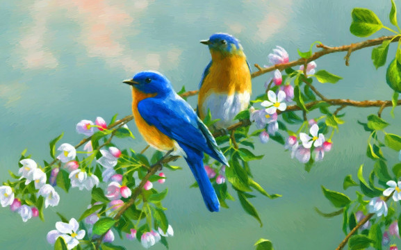 花鳥
