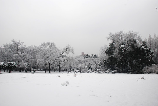 雪景