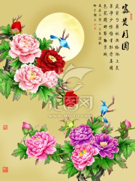花鳥(niǎo) 富貴月圓