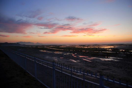 北戴河湿地公园 日出 湿地