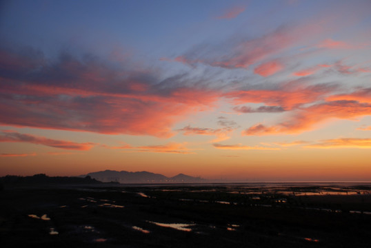 北戴河湿地公园 日出 湿地