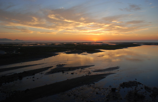 北戴河湿地公园 日出 湿地