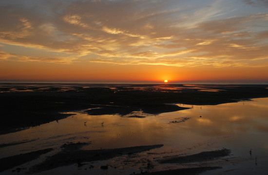 北戴河湿地公园 日出 湿地