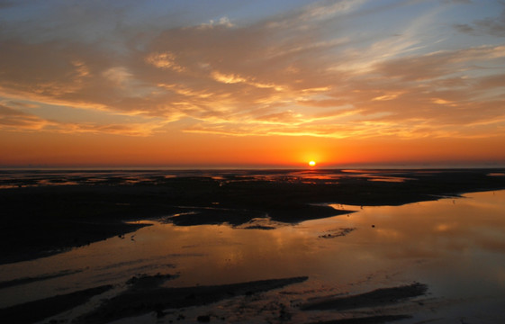 北戴河湿地公园 日出 湿地