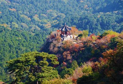 香山红叶美