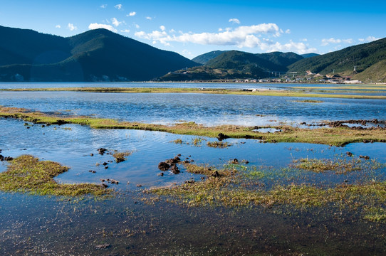 纳帕海依拉草原风光