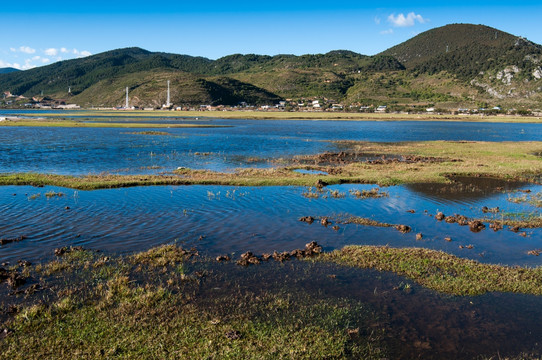 纳帕海依拉草原风光