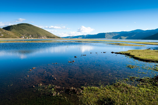 纳帕海依拉草原风光