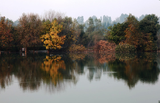 河边秋景