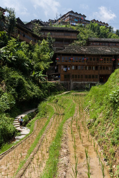 龙胜梯田 竖片 竖构图 村民