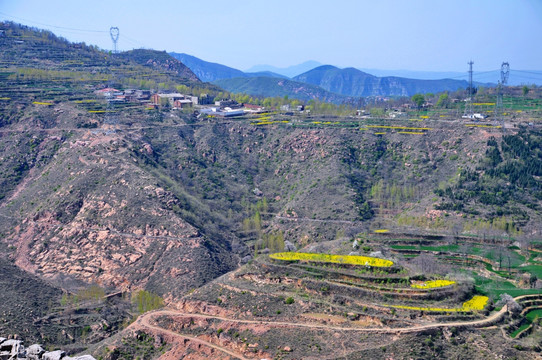 新密市 风光 田园 尖山油菜花